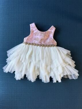 American Princess Embroidered Pink Cream Tulle Crystal Embellished Dress 3 Mo
